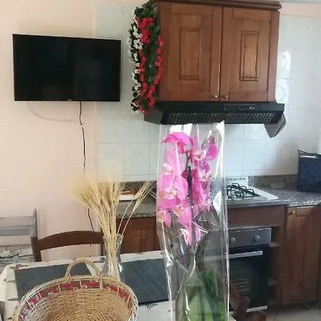 Il Ciliegio Casa vacanze *